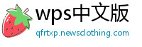 wps中文版